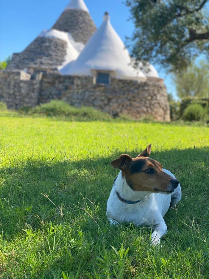 Ferienhaus I Trulli Di Alice *